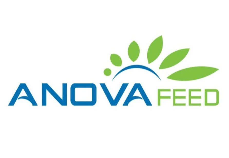 Logo CHI NHÁNH HƯNG YÊN - CÔNG TY CỔ PHẦN ANOVAFEED